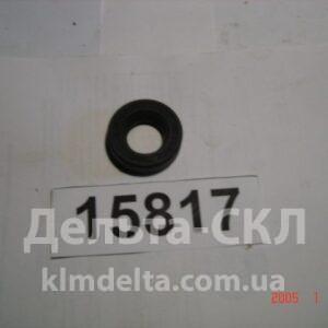 Манжета 24х46