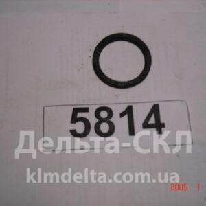 Манжета 42х52