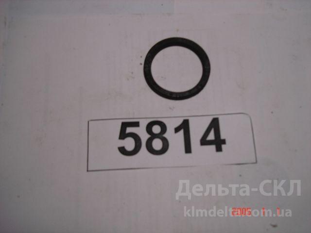 Манжета 42х52 Манжета 42х52