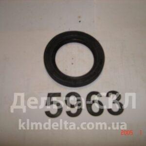 Манжета 45х65