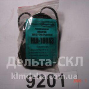 Р/к РТИ насоса НШ-100 А3