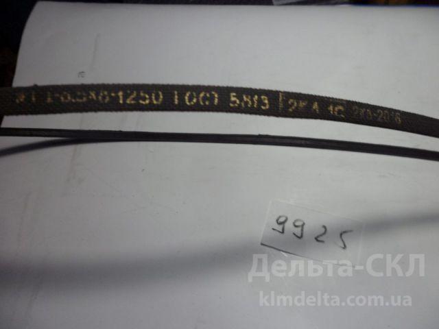 Ремень вентилятора Ремень вентилятора