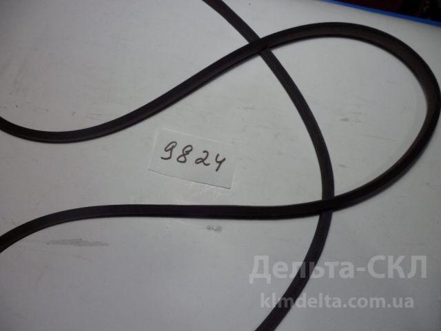 Ремень Ремень